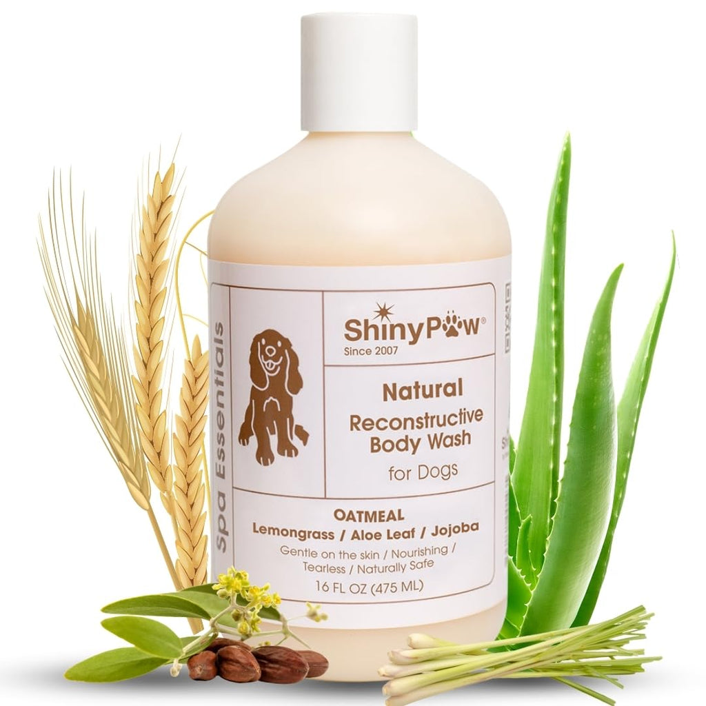 ShinyPaw Oatmeal Dog Shampoo for Allergies & Itching – 16 oz