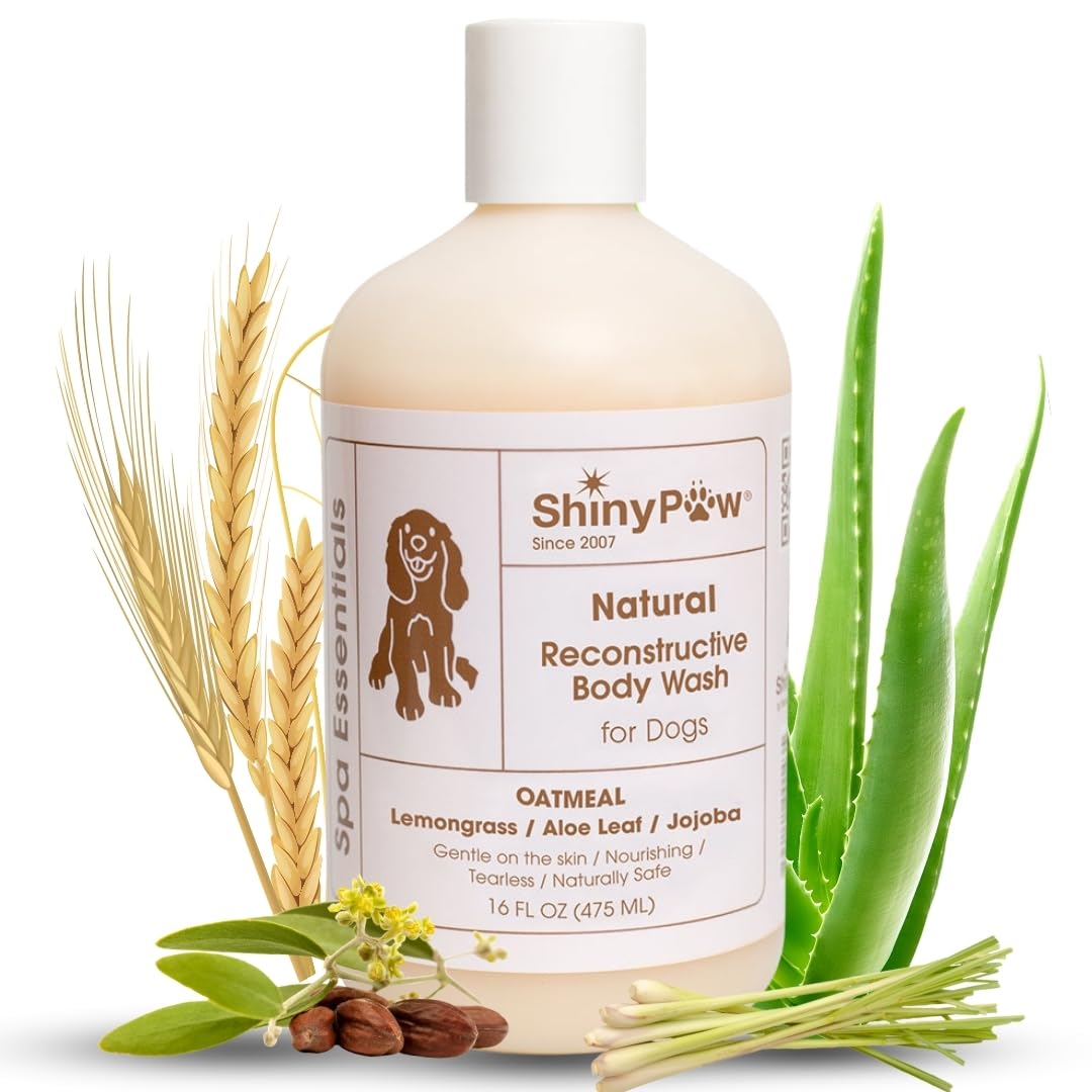 ShinyPaw Oatmeal Dog Shampoo for Allergies & Itching – 16 oz